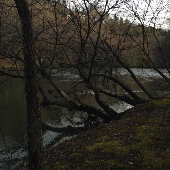 Meet your Posher, Deborah - Picture 1 of 1